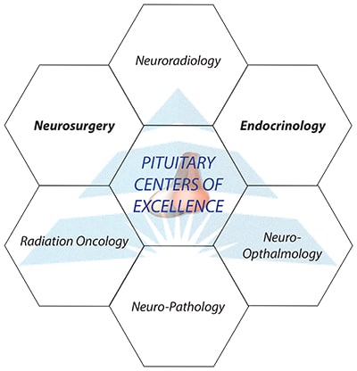 COE graphic
